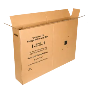 Large Flat Screen TV Box