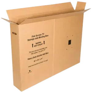 X-Large Flat Screen TV Box