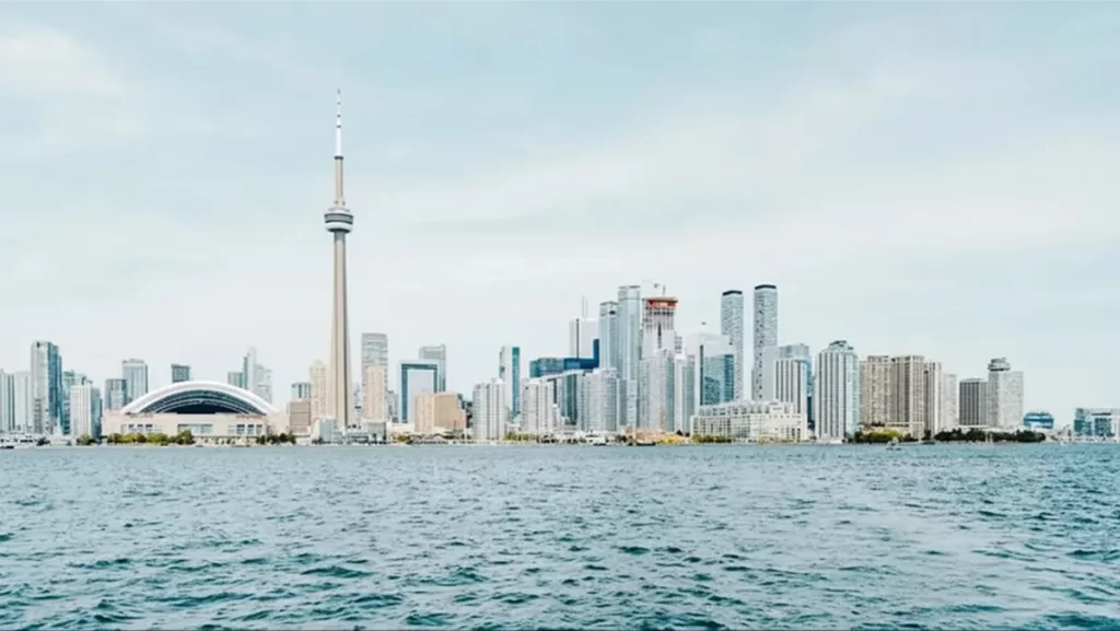 Best of Houzz 2018 Winner: TORONTO’S MOVERS