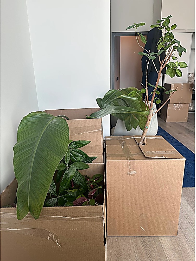 Residential Moving